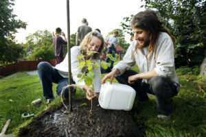 Två personer planterar träd