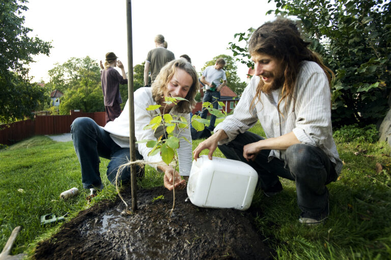 Två personer planterar träd