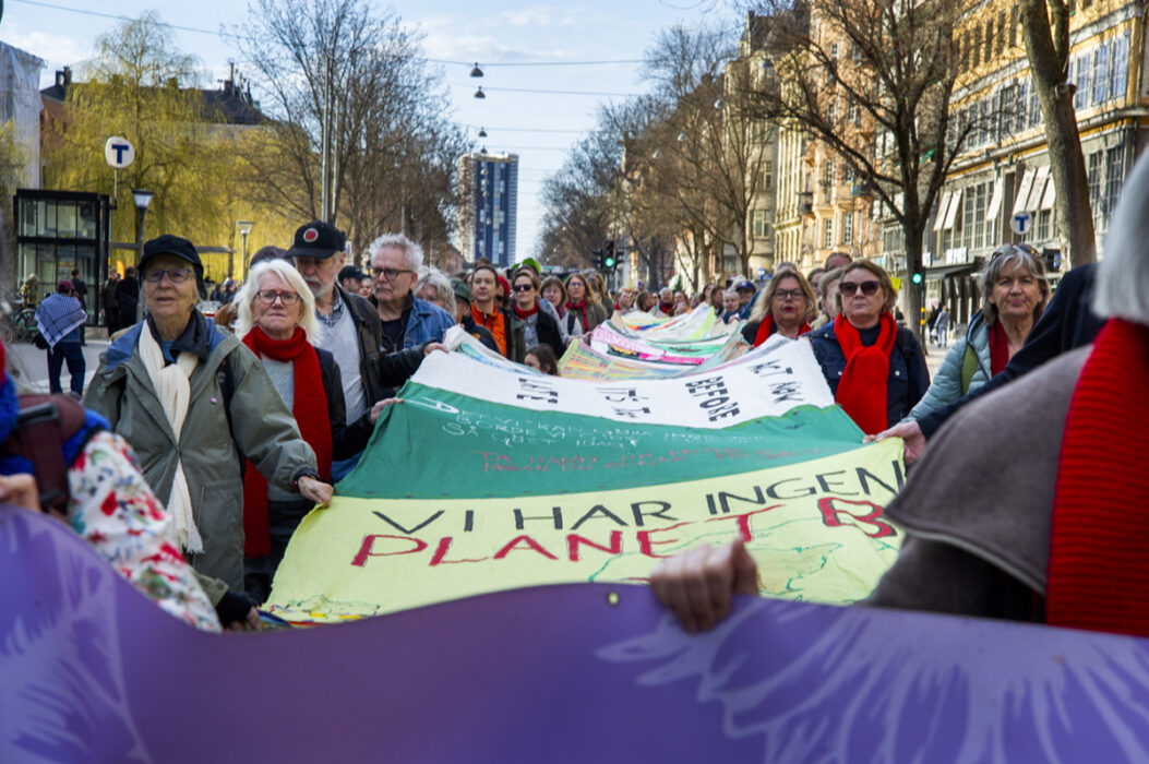85 organisationer stod som medarrangörer till manifestationen.