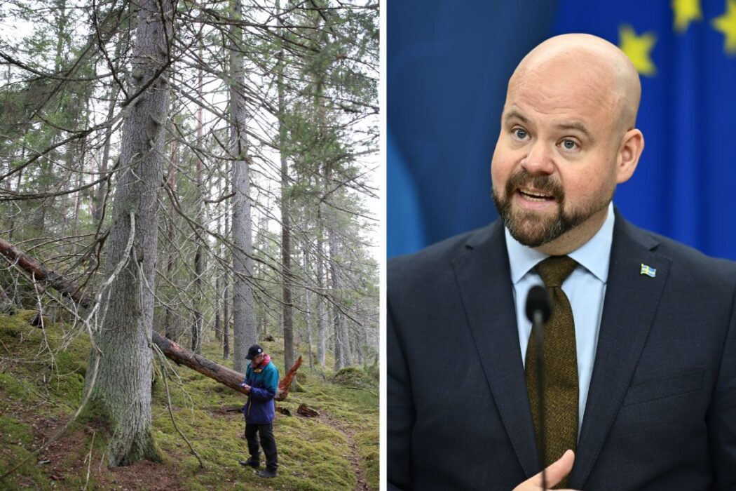 Gammelskog och Peter Kullgren.