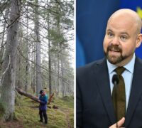 Gammelskog och Peter Kullgren.