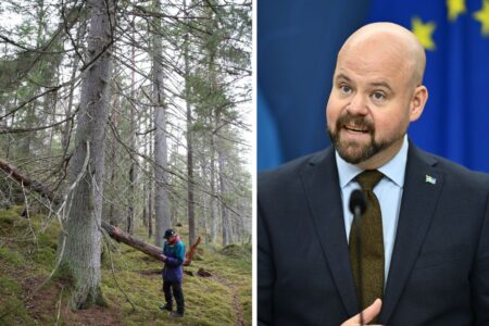 Gammelskog och Peter Kullgren.