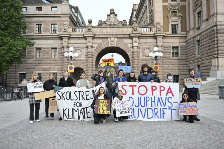 Skolstrejk utanför riksdagen