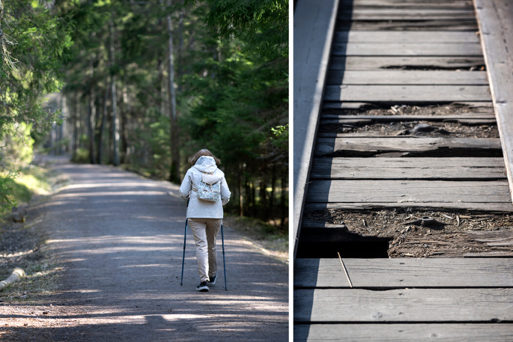 Besökare i naturen samtidigt som en trasig spång vittnar om bristande underhåll på vandringsleder i Tyresta nationalpark.