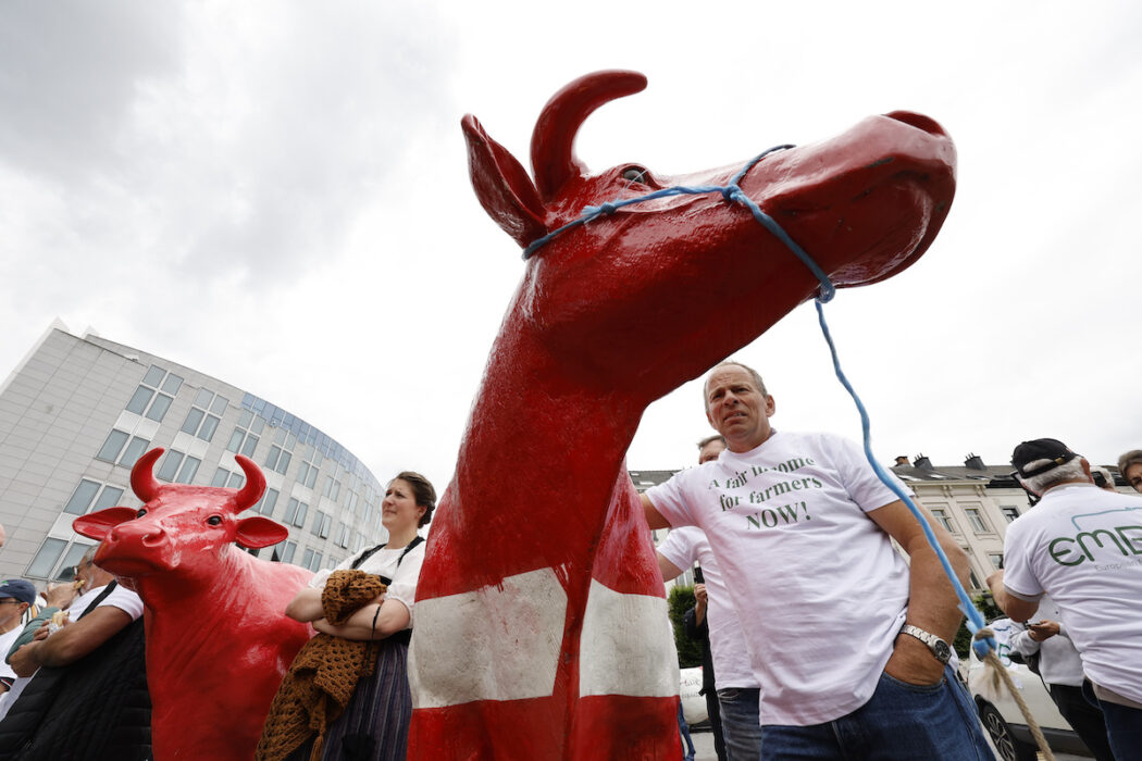 Jordbrukare med plastkor demonstrerar för att få rättvist betalt för sitt arbete utanför ett möte med EU:s jordbruksministrar i Bryssel i maj 2024.