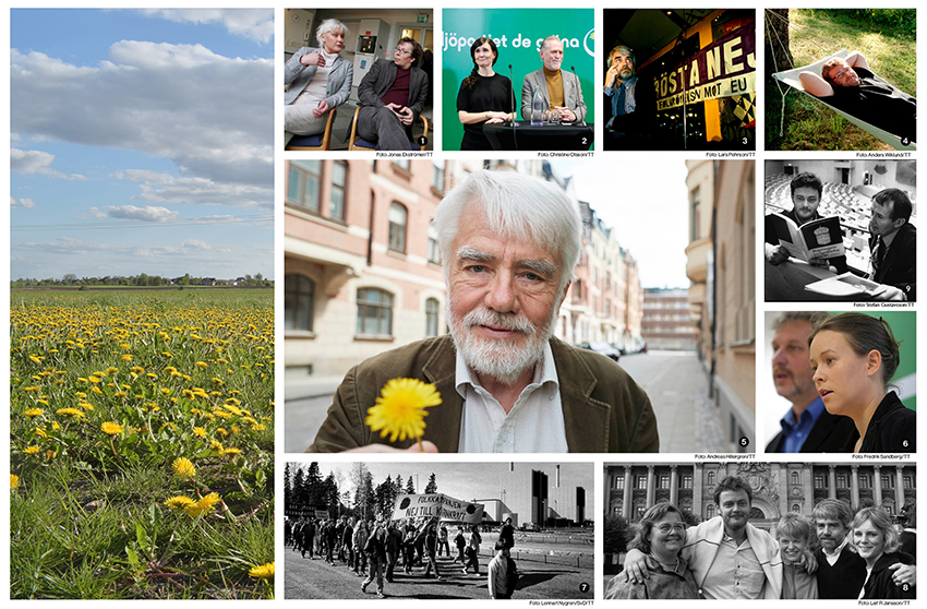 Visionerna var stora när Miljöpartiet bildades i början av 1980-talet, både vad gäller politikens innehåll och arbetsformerna.