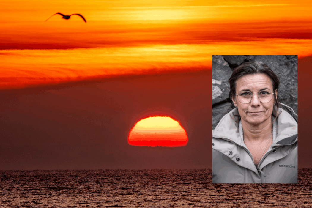 Collage, Isabella Lövin, Östersjön.