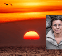 Collage, Isabella Lövin, Östersjön.