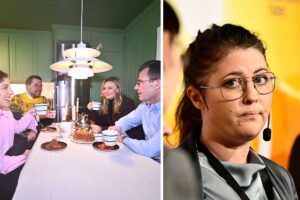 Partiledarna för tidöpartierna och Beatrice Rindevall, ordförande för Naturskyddsföreningen.