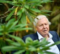 Sir David Attenborough.