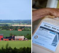 Lantbruk och PFAS-bekämpningsmedel.