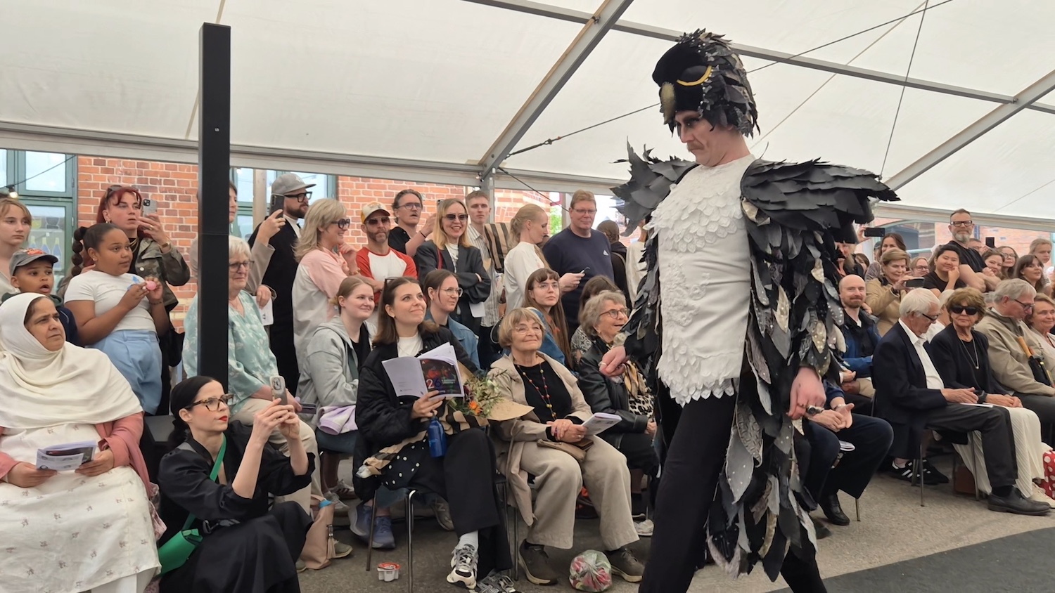 Pilgrimsfalken, Naturskyddsföreningens symbolfågel, hade rika detaljer på sina fjädrar. Foto: Madeleine Johansson