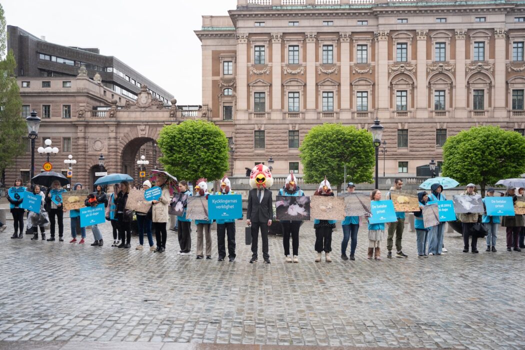 Djurrättsaktivister uppradade på mynttorget med banderoller, en med ett konstgjort kycklinghuvud på sig.
