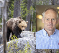 björn