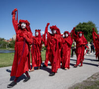 Red Rebels