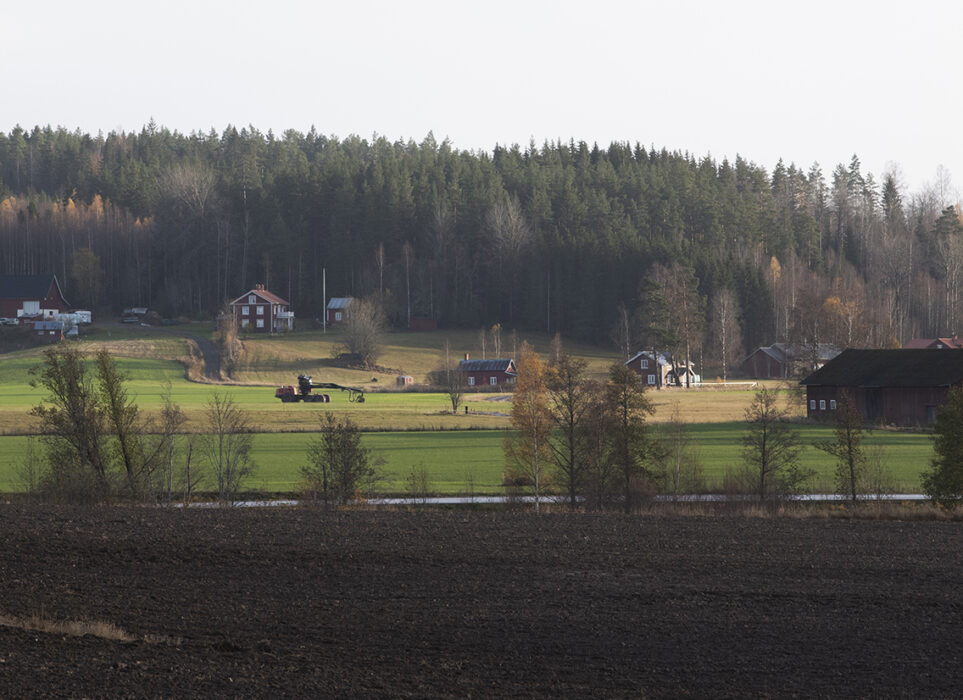 Det är framför allt glesa landsbygdskommuner som krymper.