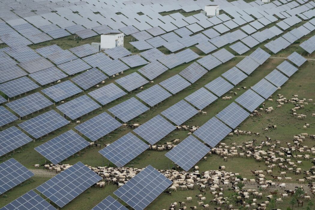 Solceller i Kina.