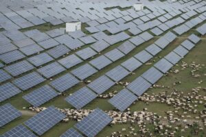 Solceller i Kina.