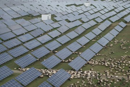 Solceller i Kina.