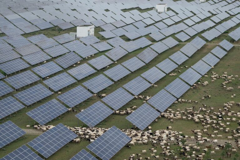 Solceller i Kina.