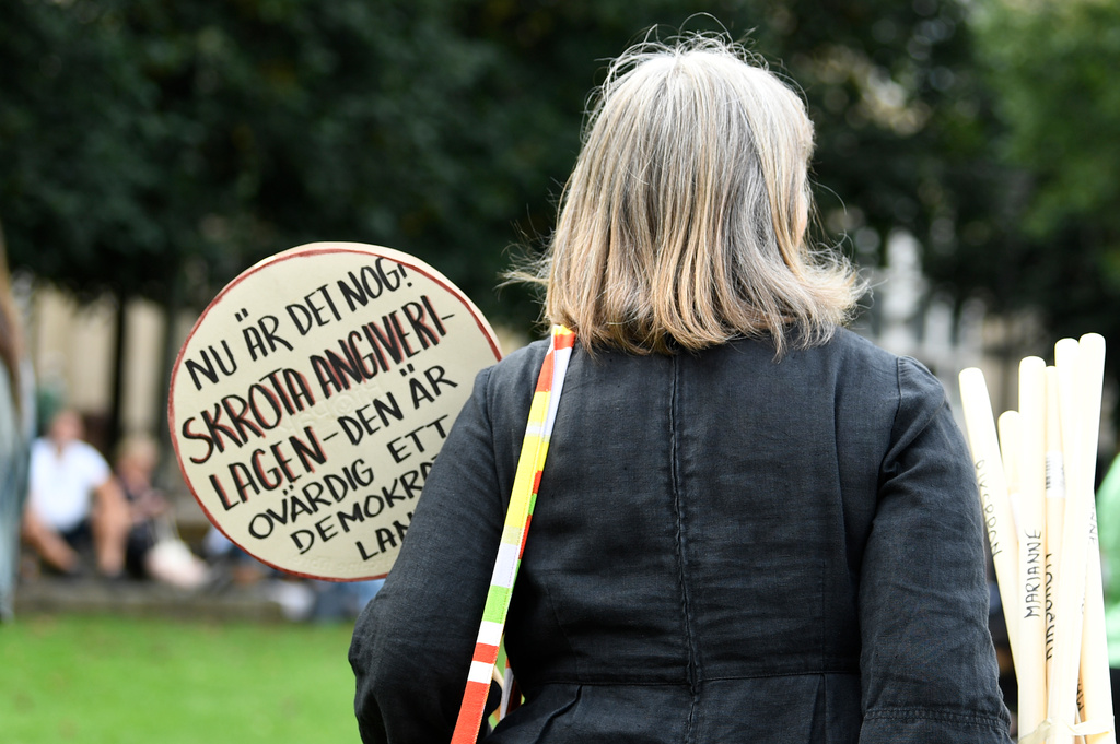 Flera organisationer samlades utanför riksdagen på söndagen.