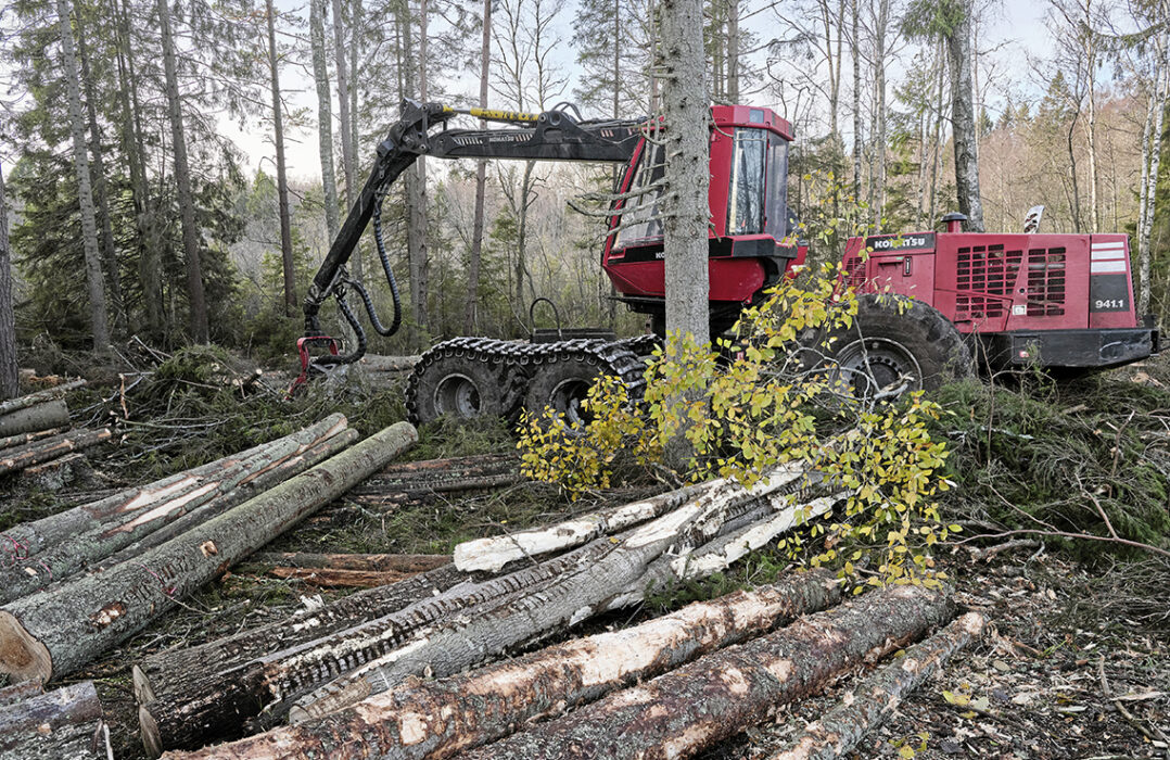 Idag röstade riksdagen ja till flera lagändringar för skogsbruket.