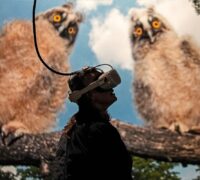 En man använder Vr för att titta på natur.