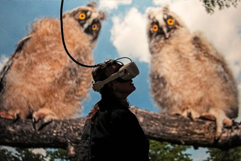 En man använder Vr för att titta på natur.