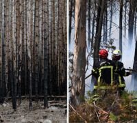Bild från brand i Västmanland och brand i Frankrike.