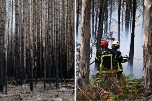 Bild från brand i Västmanland och brand i Frankrike.