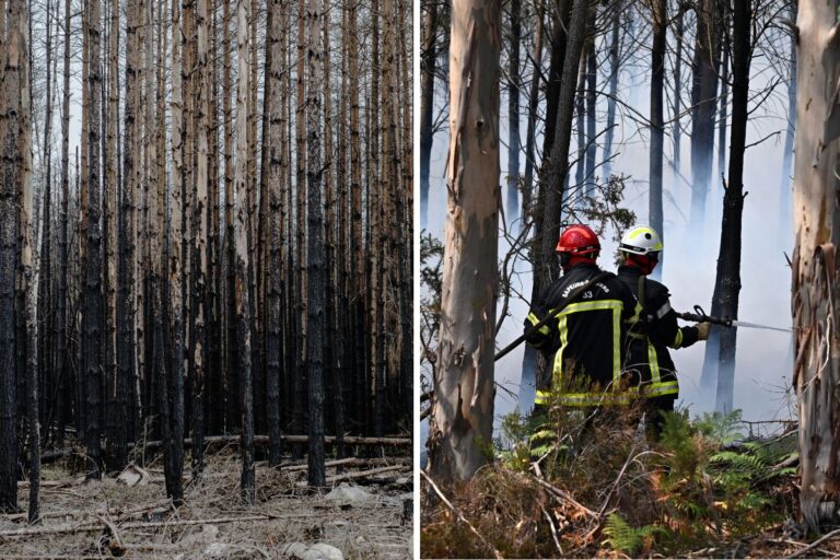 Bild från brand i Västmanland och brand i Frankrike.