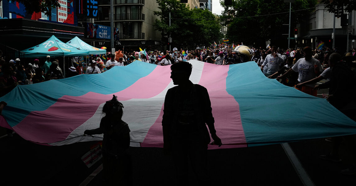 Demonstranter framför rosa/blå transflagga.