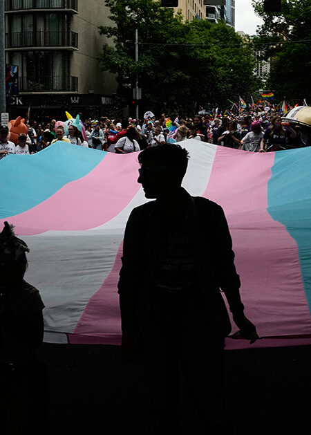 Demonstranter framför rosa/blå transflagga.