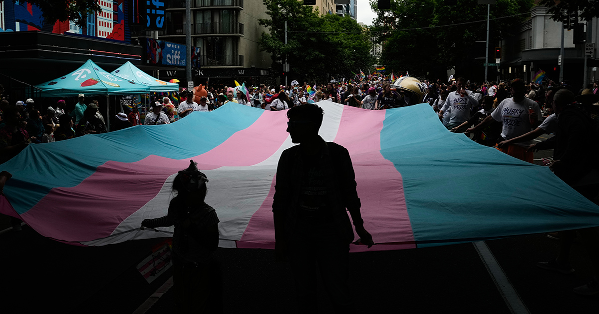 Demonstranter framför rosa/blå transflagga.