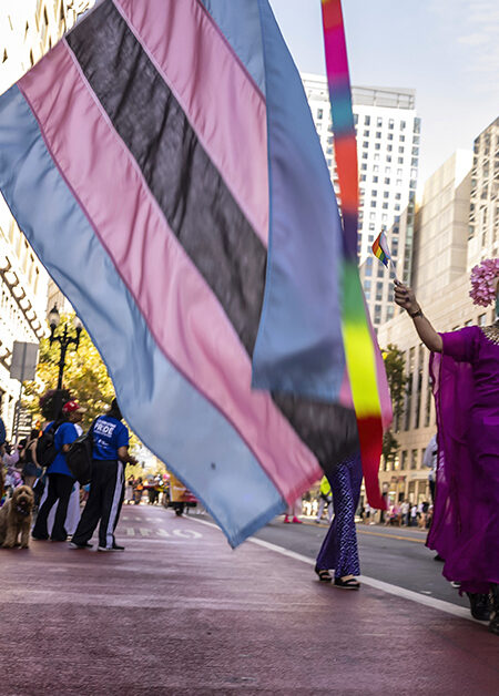 Demonstration.