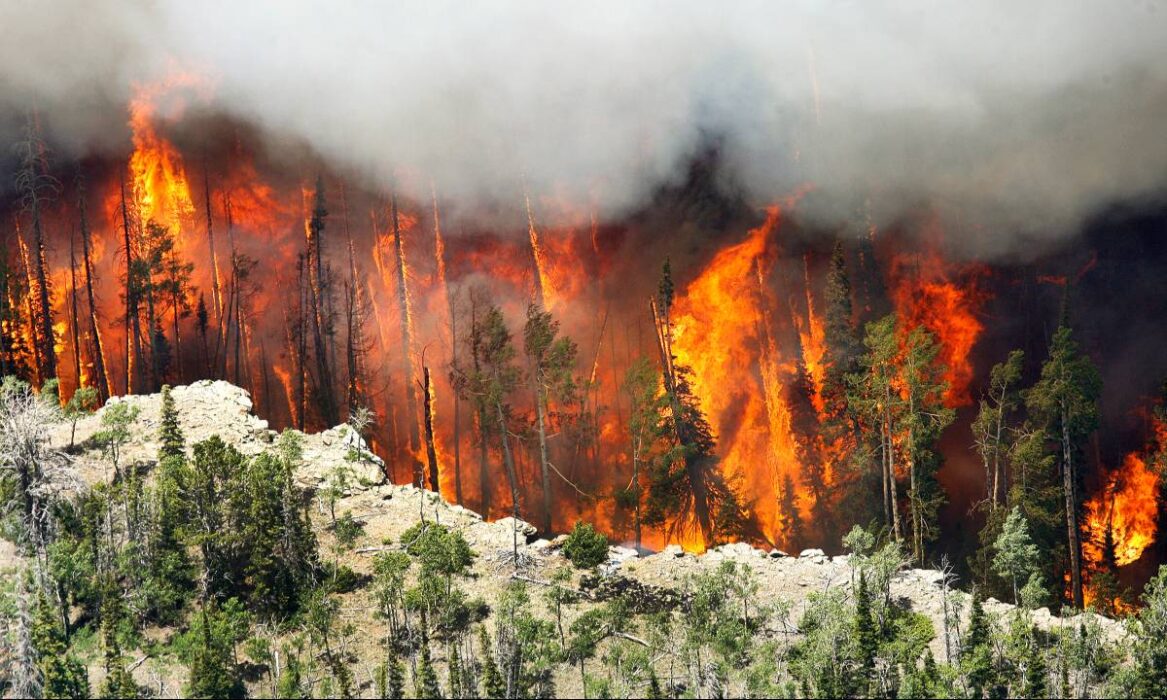 Brand i Utah.