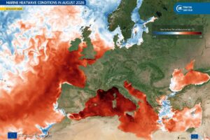 Marine heatwave.