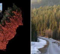 Collage. Karta som visar trycket på rennäringen och renar som strövar längs med en väg, samt en bild på Petter Schölander.