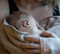 Bebis