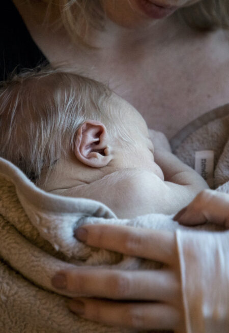 Bebis