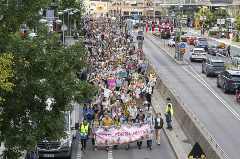 Klimatdemonstration i Stockholm.