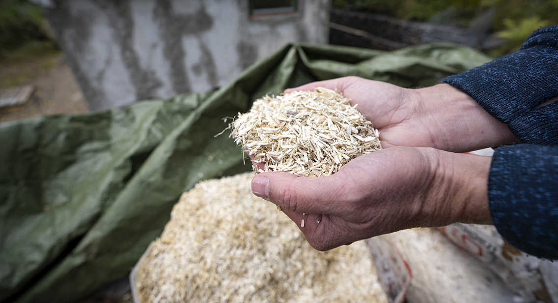 Nästan all svensk hampa odlas i Skåne och ökningen kan framför allt kopplas till en ökad efterfrågan inom industrin.