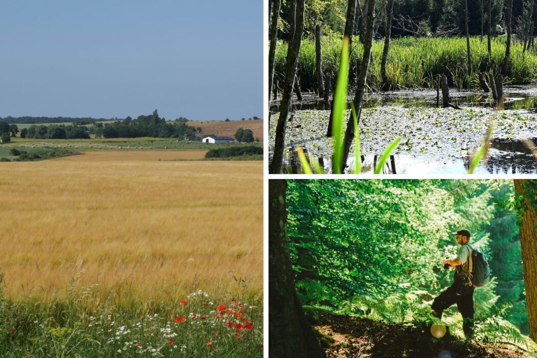 Collage av bilder. Tv åkrar, th återställd natur.