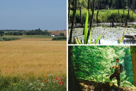 Collage av bilder. Tv åkrar, th återställd natur.