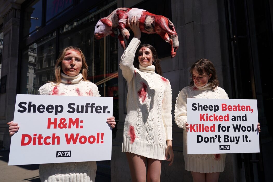 Peta-aktivister med skyltar utanför H&amp;M-butik.