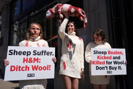 Peta-aktivister med skyltar utanför H&M-butik.