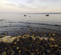 Strand i Bottenhavet.