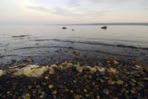 Strand i Bottenhavet.