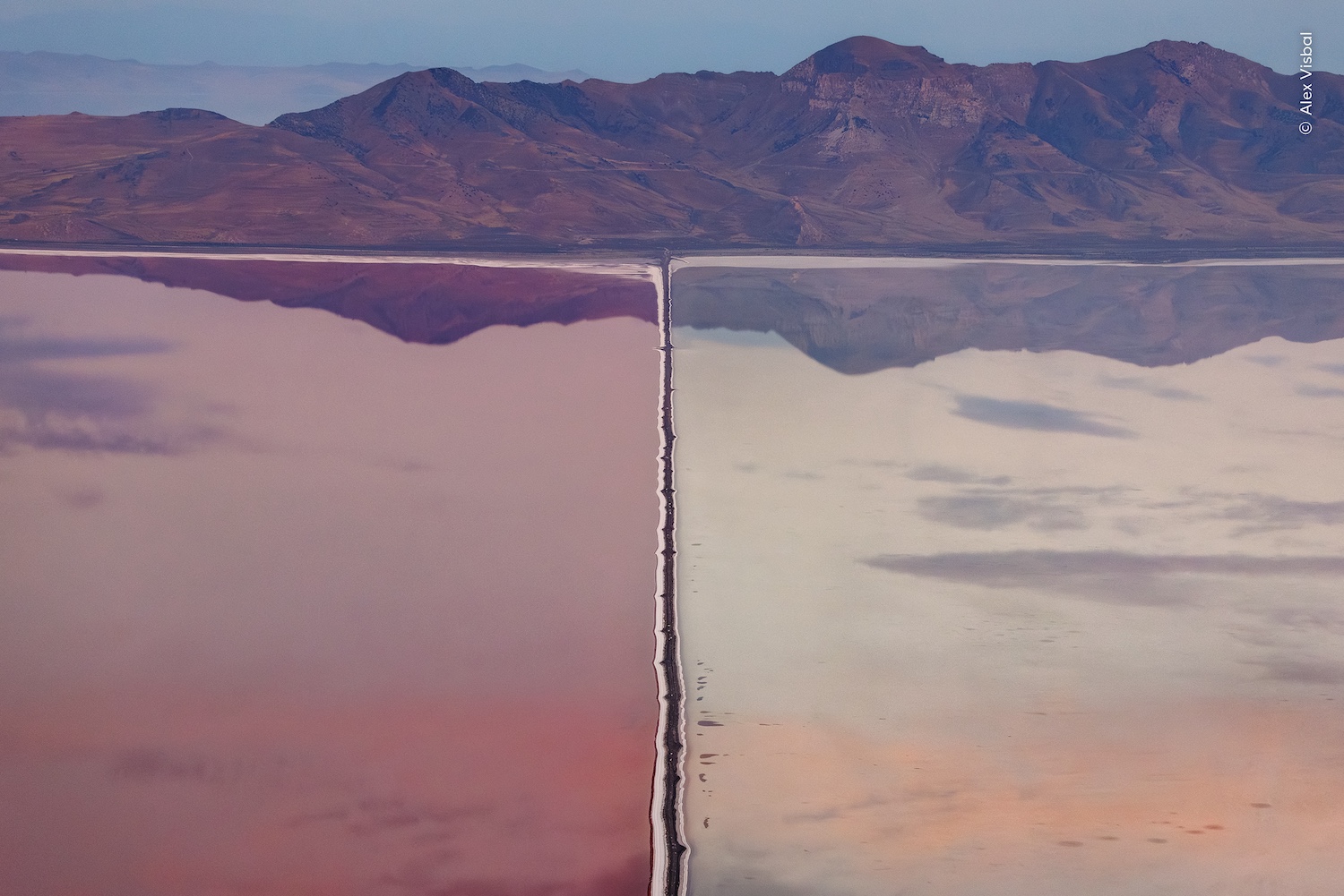 Vinnarbilden i kategorin The bigger picture visar hur industrin påverkar vattenmiljöer. Den rosa färgen till vänster har orsakats av starkt rosa mikroorganismer som trivs i extremt salt vatten – ett tillstånd som uppstår när ett område skärs av från tillförseln av sötvatten. Sjöns ekosystem är på kraftig tillbakagång till följd av industriell verksamhet, omledning av vattenflöden uppströms och klimatförändringar. Sedan bilden togs har delstaten Utah placerat området under naturskyddsförvaltning.
