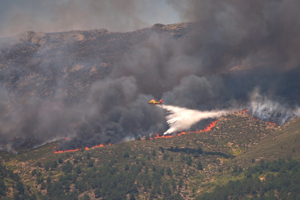 Ett flygplan arbetar med släckningsarbete över en skogsbrand.